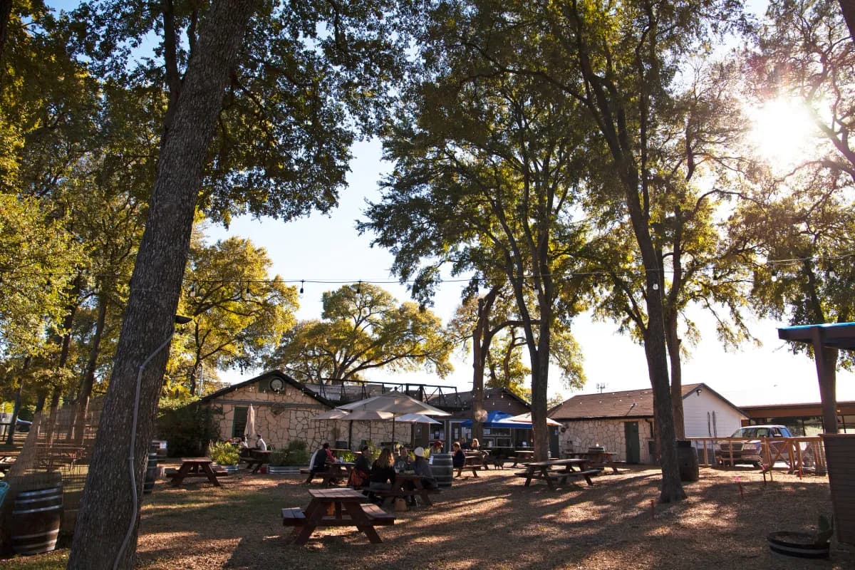 Shaded oak-tree yard with picnic tables and patrons, sunlight through the branches, low buildings behind