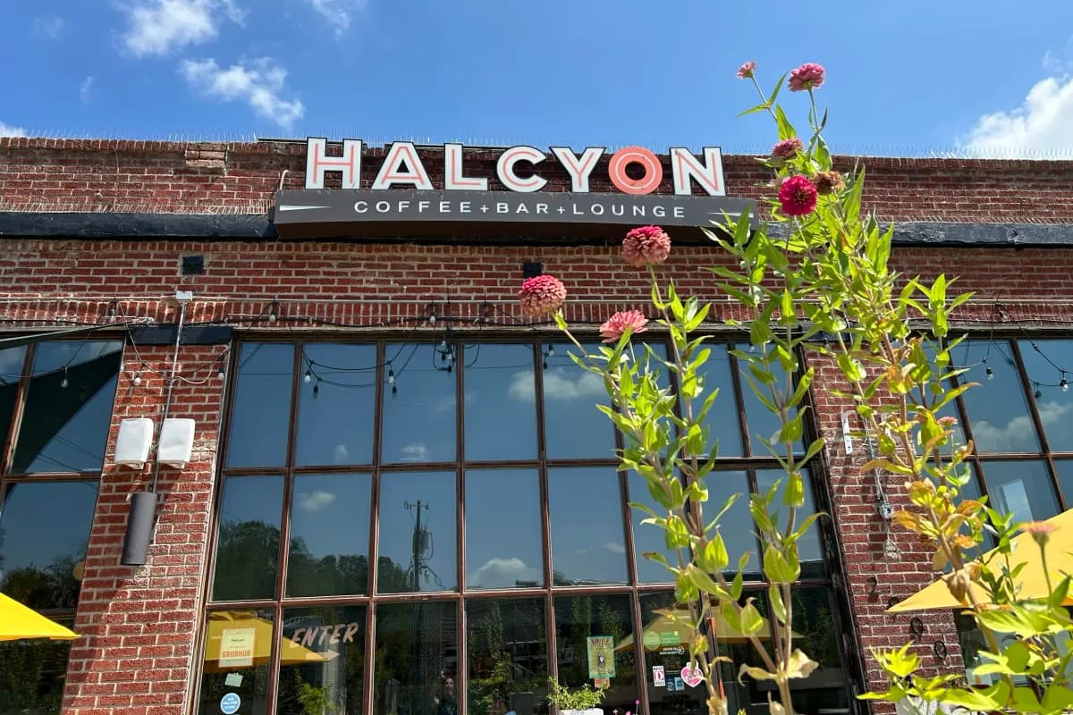 Halcyon Coffee Bar Lounge brick building exterior with large windows, sign and pink flowers in the foreground