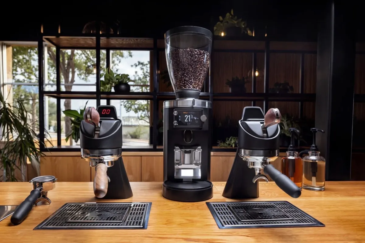 Espresso bar counter with two portafilters and a grinder in front of a dark shelving wall and tree-lit windows
