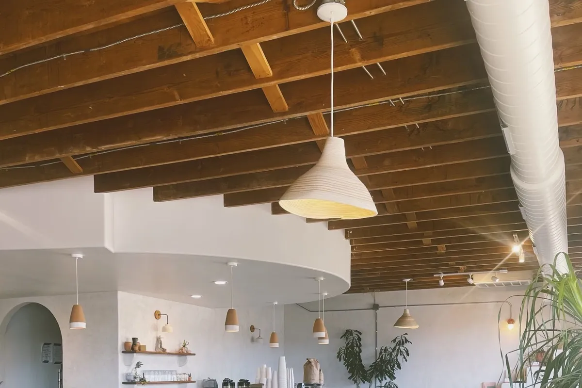 Airy cafe interior with exposed wood-beam ceiling, curved white counter, live-edge communal table and potted plants